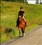 horselover93