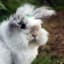 annaforsgren