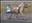 Anna_